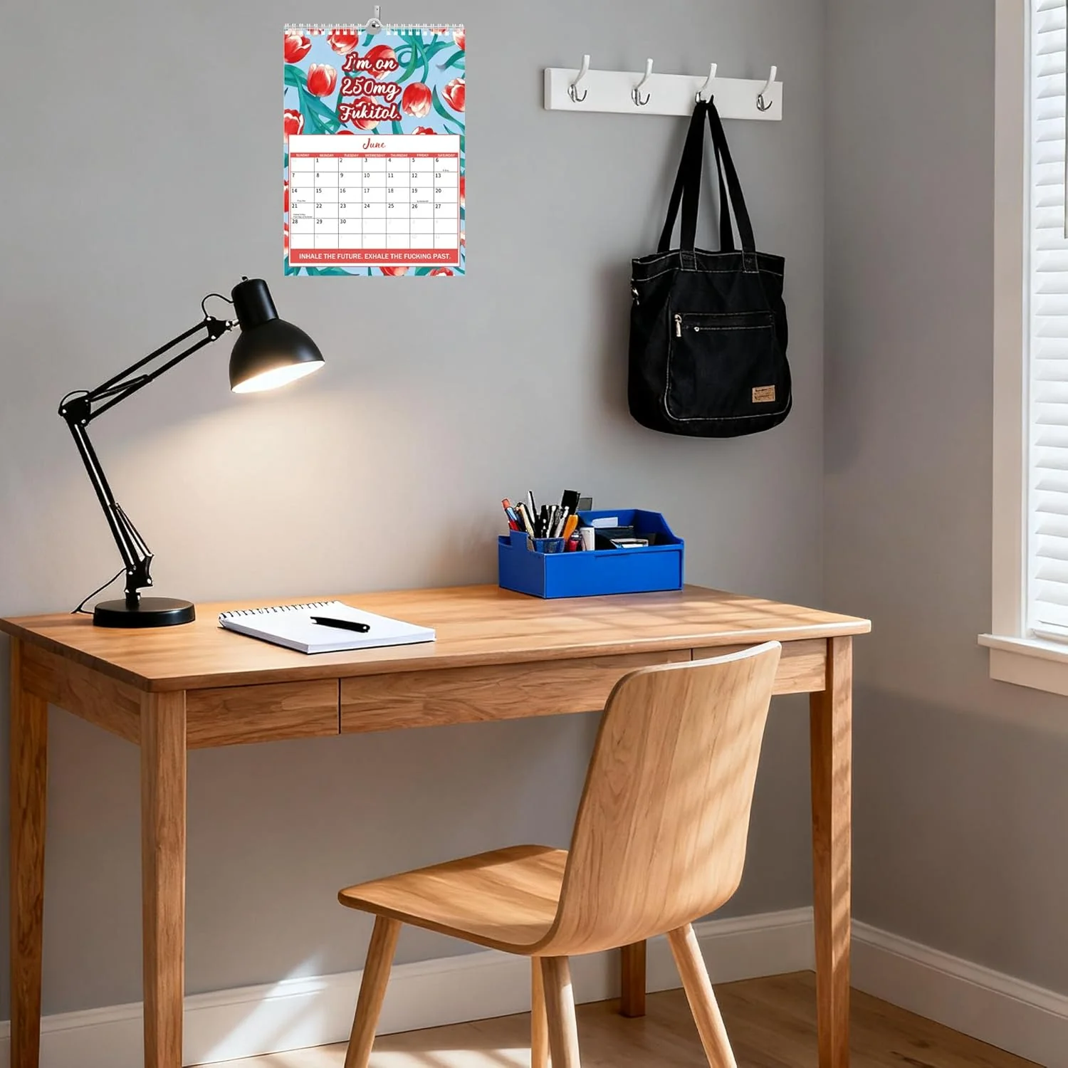🖤Black Friday topper!✨ 2026 Scheldwoordenkalender voor Geestelijke Gezondheid – One Day At A Fucking Time, Humoristisch & Resoneerend (Perfect voor Vrouwen die met Angst, Depressie Struggle en van Humor Houden!) - Image 8