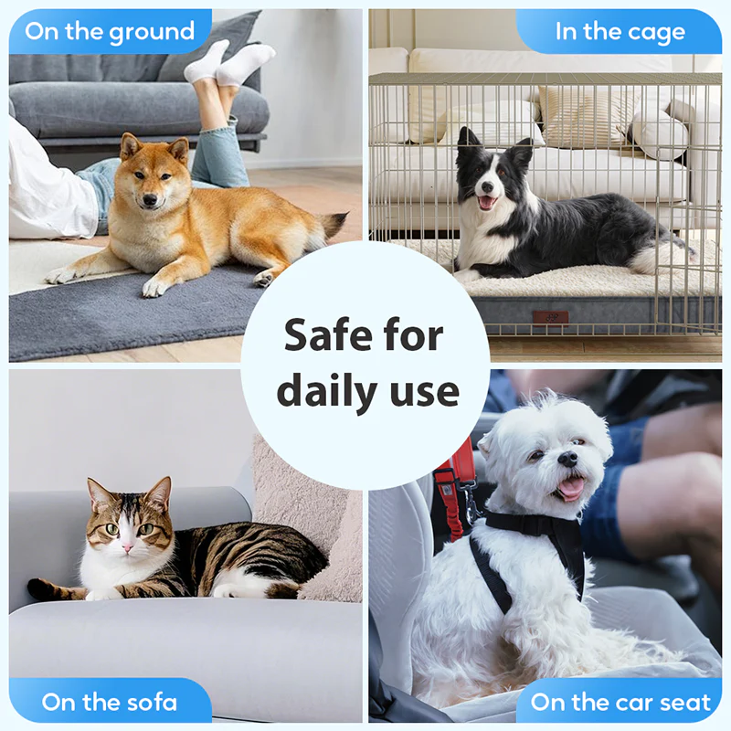 🎄Kerstdeal ALTIJD 50% KORTING!🐾 Anti-Mijt & Antibacteriële Oordruppels voor Huisdieren: Mild Plantenformule + Soft-Tip Applicator – Geschikt voor Katten & Honden! - Image 7