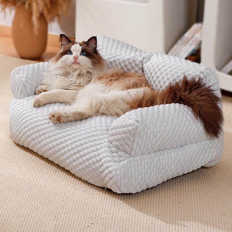 🌞Fris De Lente In Met 50% Korting!🐾 Ijszijde Koelend Huisdierbed – Ademend & Wasbaar Hondensofa met 5°C Koeling! - Image 3