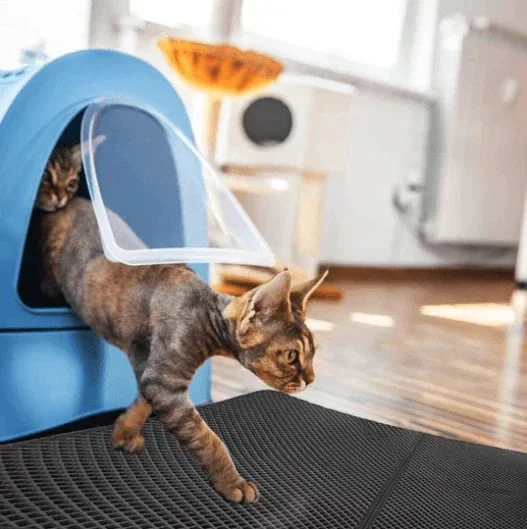 🐱 Tapis Antidérapant pour Litière pour Chat – Antislip, Gemakkelijk Schoon Te Maken & Waterdicht (Huis Ruweloos & Kattenvriendelijk!) - Image 10