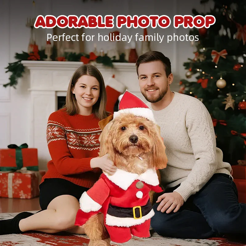 🎅🐾 Kerstman Kostuum Set voor Honden – Schattig & Comfortabel Feestelijke Outfit (Perfect voor Kerstfeestjes!) - Image 3