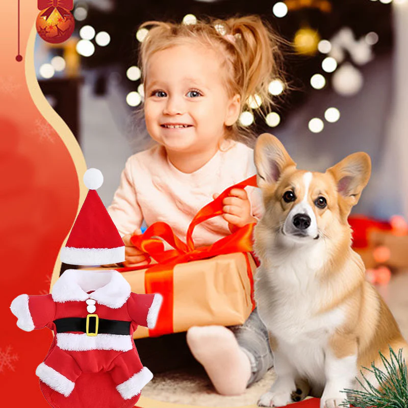 🎅🐾 Kerstman Kostuum Set voor Honden – Schattig & Comfortabel Feestelijke Outfit (Perfect voor Kerstfeestjes!) - Image 8