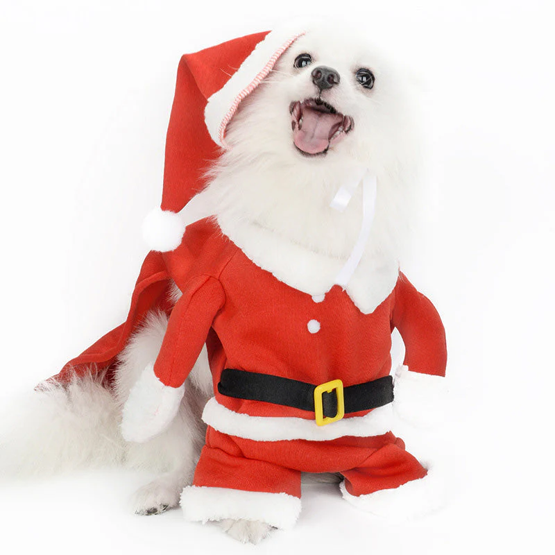 🎅🐾 Kerstman Kostuum Set voor Honden – Schattig & Comfortabel Feestelijke Outfit (Perfect voor Kerstfeestjes!) - Image 9