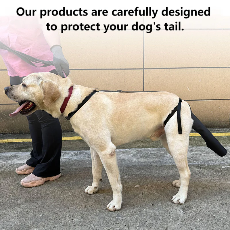 Comfortable & Adjustable Dog Tail Protector