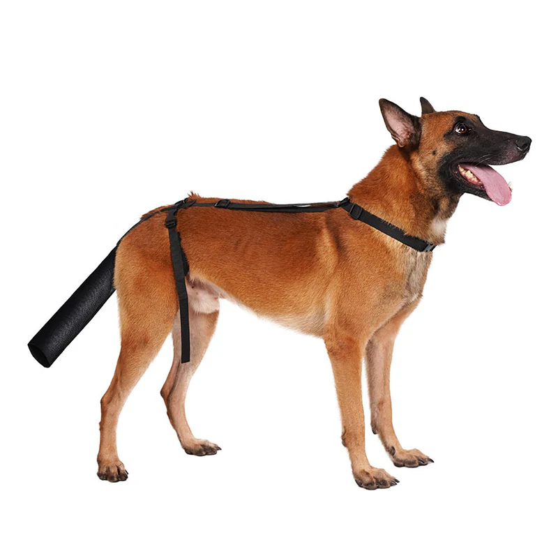 Comfortable & Adjustable Dog Tail Protector - Image 2