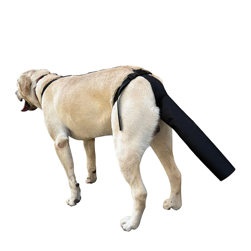 Comfortable & Adjustable Dog Tail Protector - Image 5