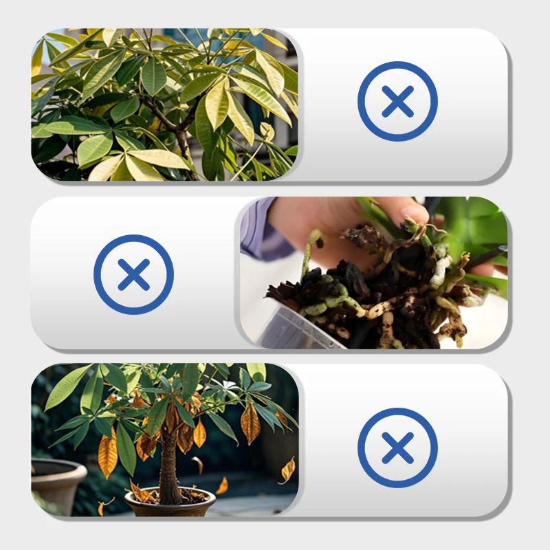 🌱Vloeibare reviver voor meerdere planten - Image 3