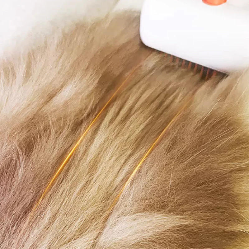 🌞Fris De Lente In Met 50% Korting!🐾 2-IN-1 Zelfontwarrende & Verzorgingskam voor Huisdieren – Painless Ontklitten, Ondervacht Verwijderen & Gezonde Vacht! - Image 5