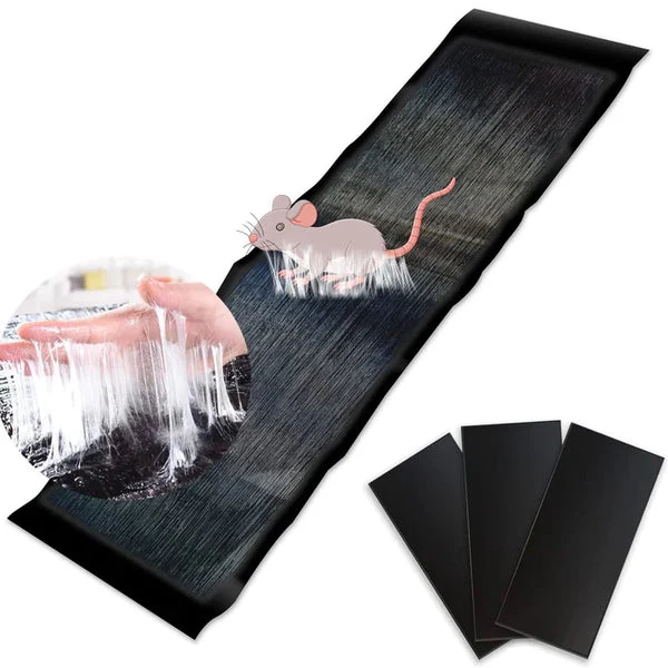 💥 UITVERKOOP 50% KORTING - Muizenval: Bestrijd Knaagdieren Eenvoudig & Effectief!