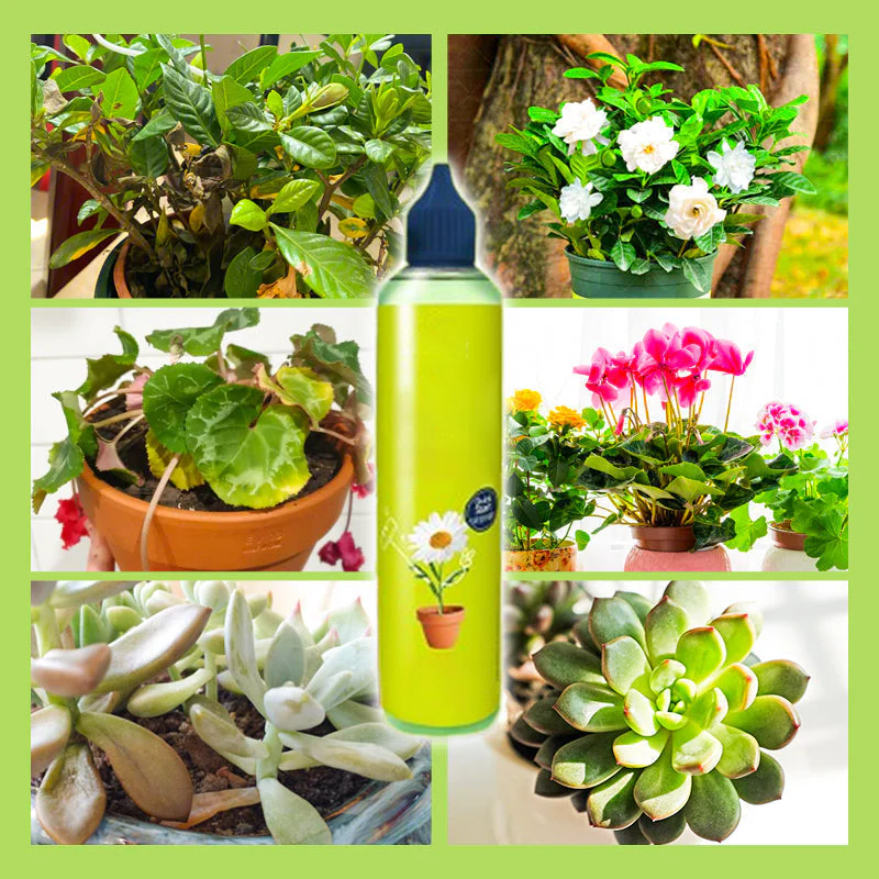 🎉Nieuwjaars Cadeau 50% KORTING!🌱Universele Vloeibare Plantenvoeding: Laag Onderhoud & Rijke Voedingsstoffen – Voor Binnen- & Buitenplanten! - Image 4