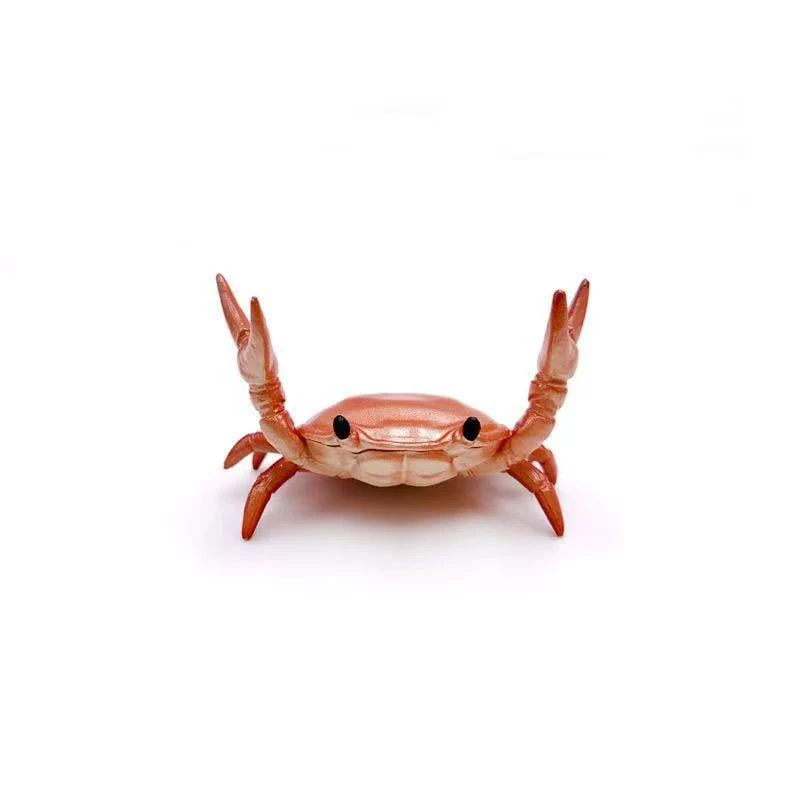 🎉Nieuwjaars Cadeau 50% KORTING!🦀Schattige Krab Pennenhouder - Multifunctioneel (Pennen, Sleutels, Bril) & Decoratief: Perfect Als Kantoorcadeau! - Image 9