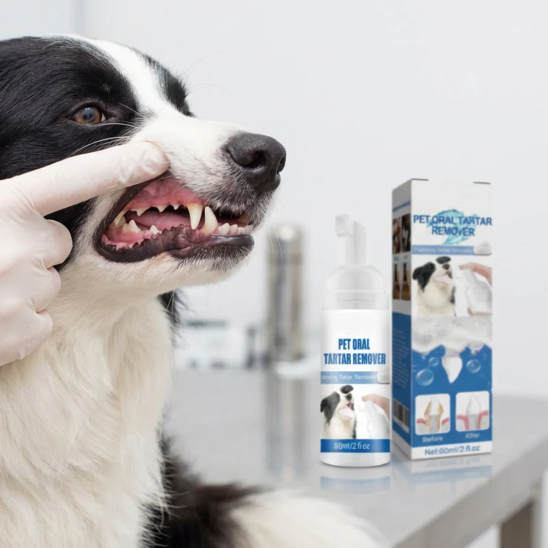 💘Valentijnsaanbieding: 50% Korting!🐾Schuimende Tandsteenverwijderaar voor Huisdieren – Natuurlijke Formule & Moeiteloos Gebruik!