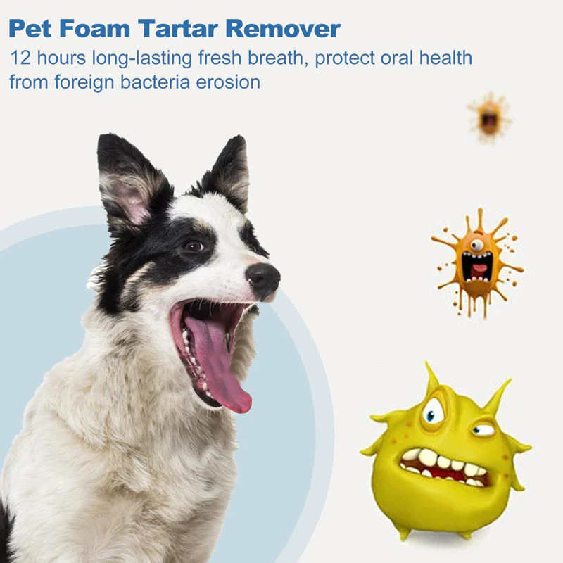 💘Valentijnsaanbieding: 50% Korting!🐾Schuimende Tandsteenverwijderaar voor Huisdieren – Natuurlijke Formule & Moeiteloos Gebruik! - Image 3
