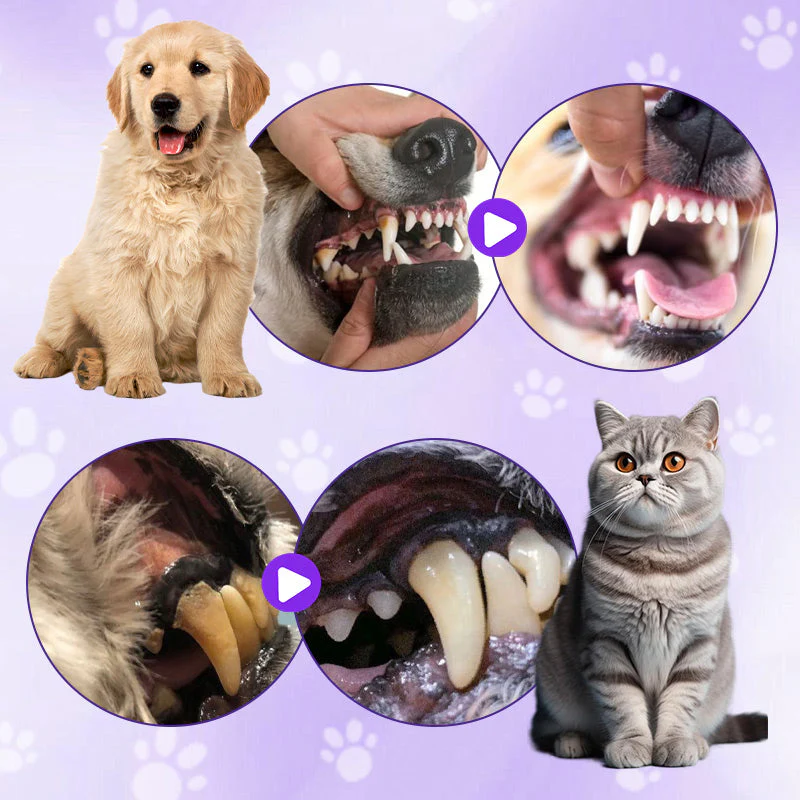 🦷🐾 2-in-1 Tandenborstel Pen voor Huisdieren – Tandsteen Verzachtende Formule, Antislip Handvat & Dagelijkse Gebitsverzorging（Perfect voor Honden & Katten!） - Image 3