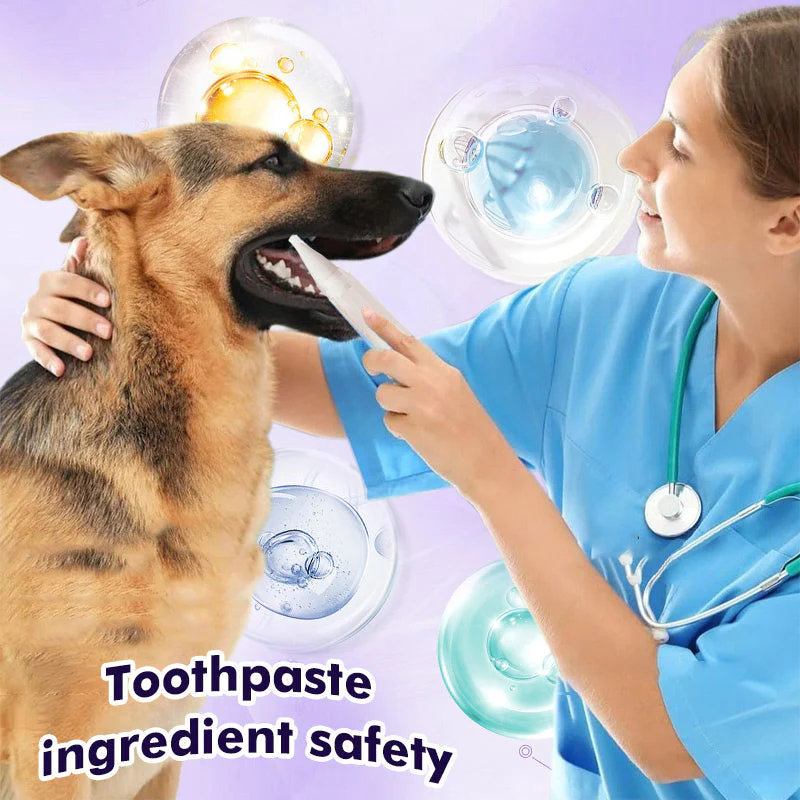 🦷🐾 2-in-1 Tandenborstel Pen voor Huisdieren – Tandsteen Verzachtende Formule, Antislip Handvat & Dagelijkse Gebitsverzorging（Perfect voor Honden & Katten!） - Image 4