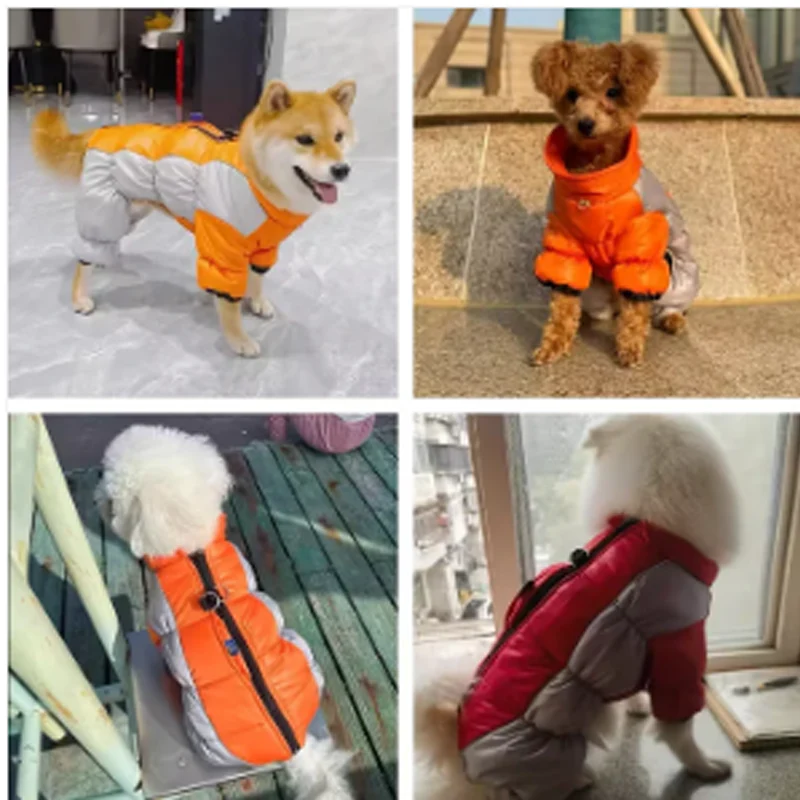 🐾❄️ Reflecterende Waterdichte Warme Hondenjas – Geïntegreerd Harnas, Dikke Isolatie & Veiligheid voor Kleine Honden - Image 12
