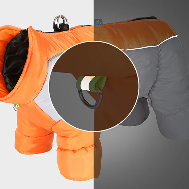 🐾❄️ Reflecterende Waterdichte Warme Hondenjas – Geïntegreerd Harnas, Dikke Isolatie & Veiligheid voor Kleine Honden - Image 8