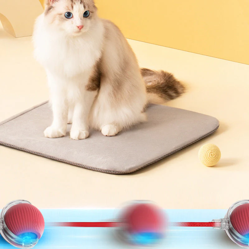 🖤Black Friday topper!40% korting ✨ Slimme Automatische Rollende Dierenbal – Automatisch Bewegen, Obstakel Vermijden & Langdurige Batterij (Perfect voor Katten & Honden, Bevrijd Jouw Handen!) - Image 5