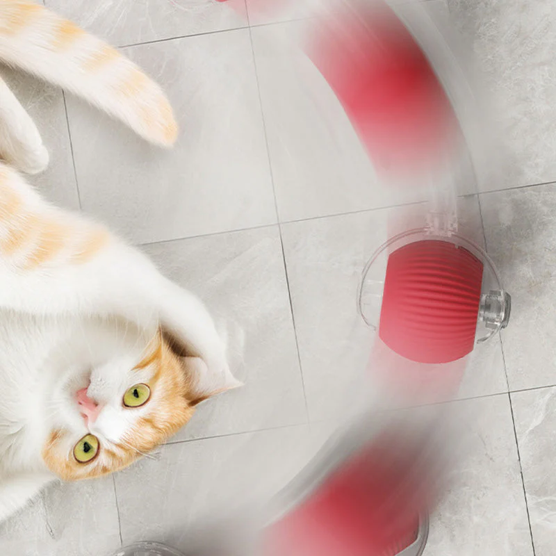 🖤Black Friday topper!40% korting ✨ Slimme Automatische Rollende Dierenbal – Automatisch Bewegen, Obstakel Vermijden & Langdurige Batterij (Perfect voor Katten & Honden, Bevrijd Jouw Handen!) - Image 8
