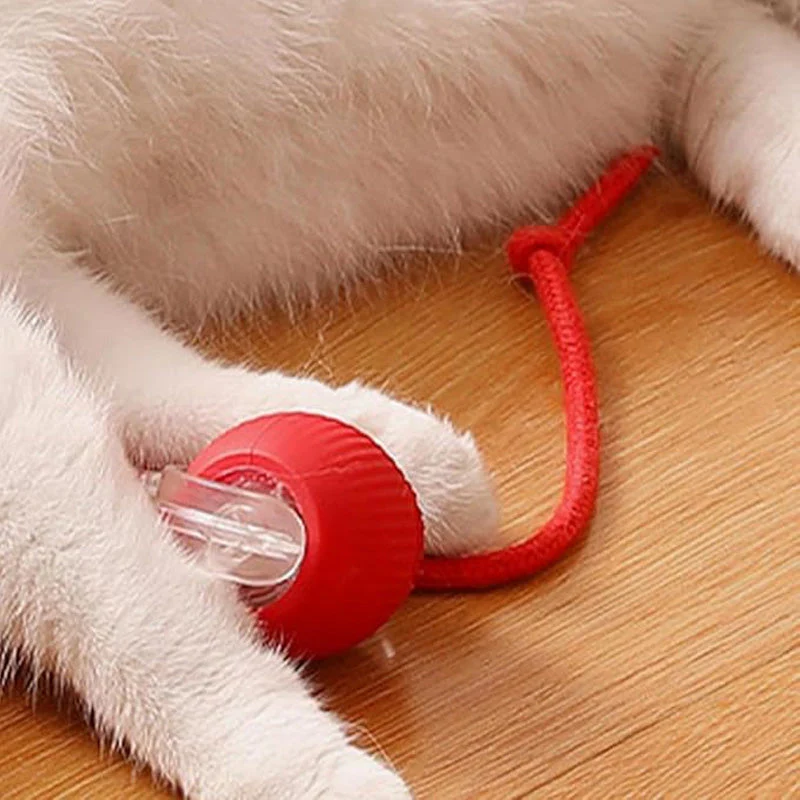 🖤Black Friday topper!40% korting ✨ Slimme Automatische Rollende Dierenbal – Automatisch Bewegen, Obstakel Vermijden & Langdurige Batterij (Perfect voor Katten & Honden, Bevrijd Jouw Handen!) - Image 9