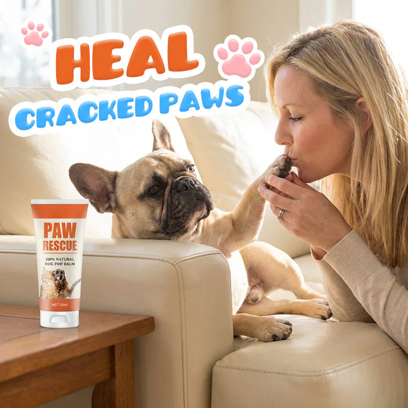 🎉Nieuwjaars Cadeau 50% KORTING!🐾Verzachtende Pootbalsem voor Hond & Kat – Genees Gebarsten Pootjes met 100% Natuurlijke Ingrediënten!