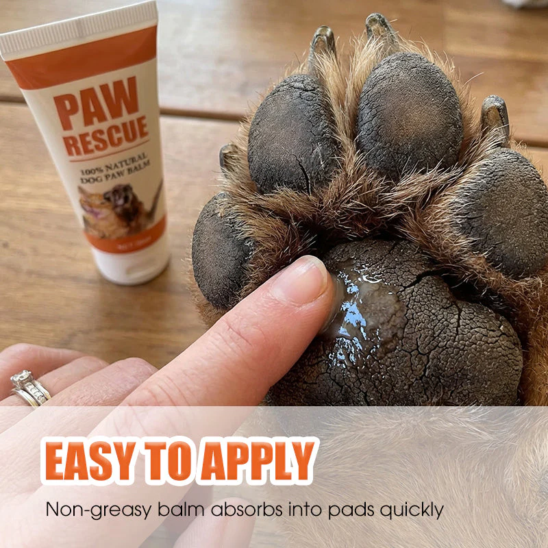 🎉Nieuwjaars Cadeau 50% KORTING!🐾Verzachtende Pootbalsem voor Hond & Kat – Genees Gebarsten Pootjes met 100% Natuurlijke Ingrediënten! - Image 3