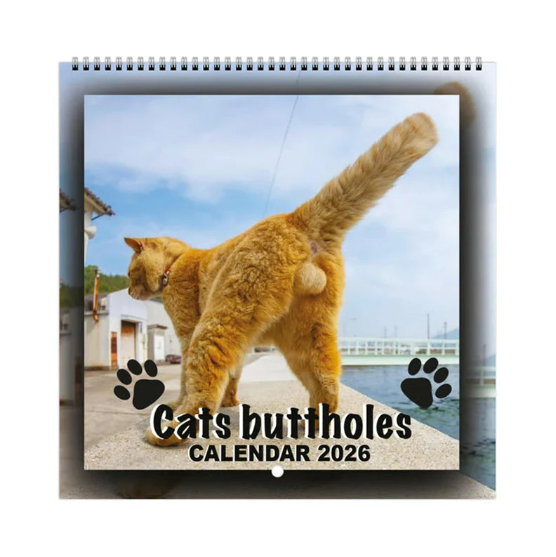 🐱😂 2026 Grappige Kattenwandkalender – Humoristische Afbeeldingen, Volledige Jaarplanning & Uniek Cadeau voor Kattenliefhebbers! - Image 9